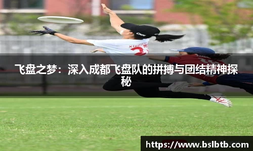 飞盘之梦：深入成都飞盘队的拼搏与团结精神探秘